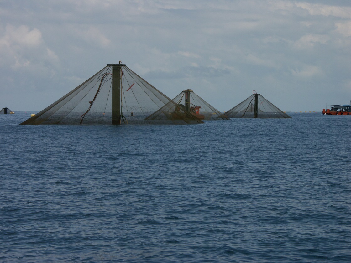 JAULAS MARINAS